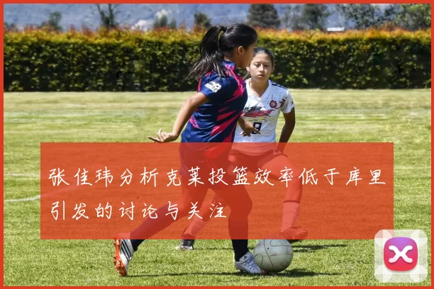 张佳玮分析克莱投篮效率低于库里引发的讨论与关注