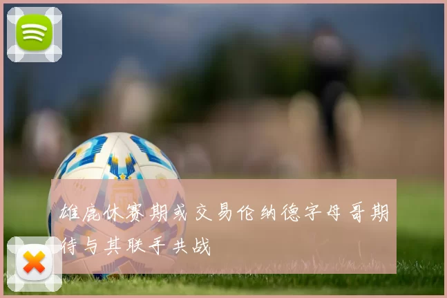 雄鹿休赛期或交易伦纳德字母哥期待与其联手共战