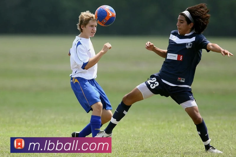 立博足球平台生态图